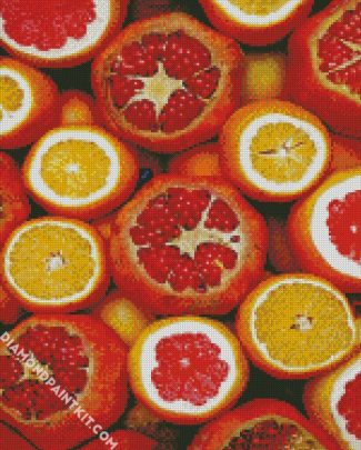 Pomegrante And Orange Citrus diamond painting