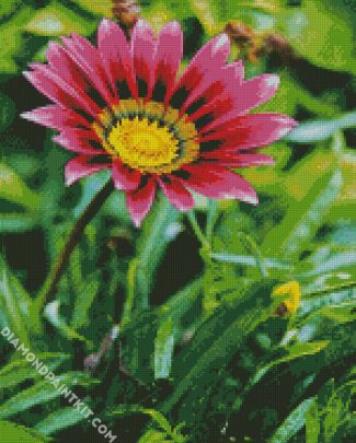 Purple Gazania diamond painting