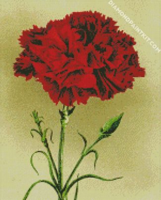 Red Carnation Flower diamond painting