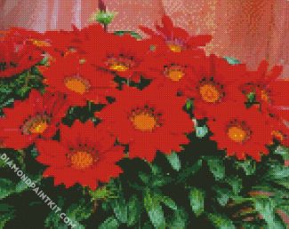 Red Gazania diamond painting