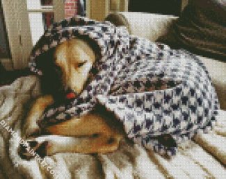 Sleepy Dog In Blanket diamond painting