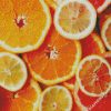 Sliced Citrus Fruit diamond painting