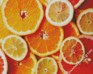 Sliced Citrus Fruit diamond painting