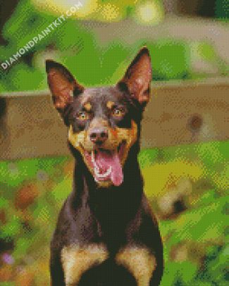 The Australian Kelpie diamond painting