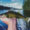 The Walleye Fish diamond painting