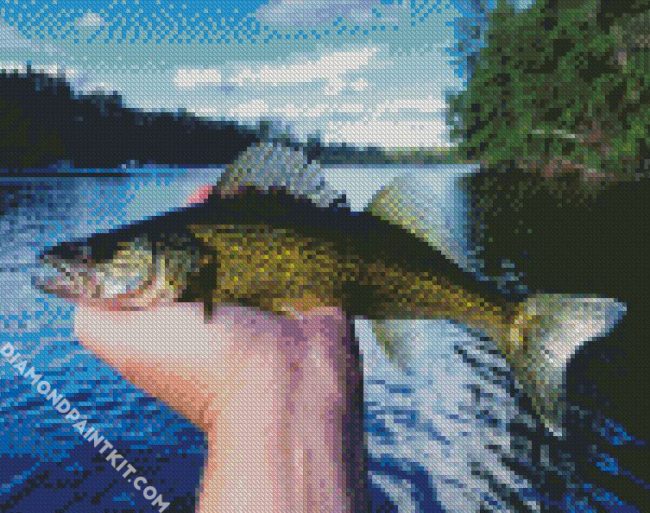 The Walleye Fish diamond painting