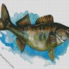 The Walleye Fish Art diamond painting