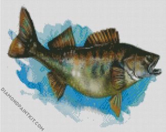 The Walleye Fish Art diamond painting