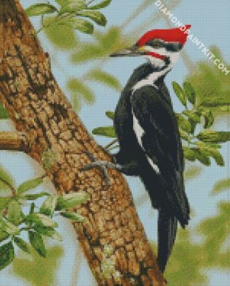 The Woodpecker Bird diamond painting