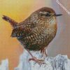 The Wren Bird diamond painting