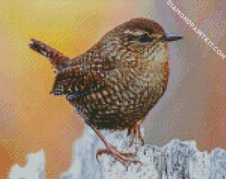 The Wren Bird diamond painting