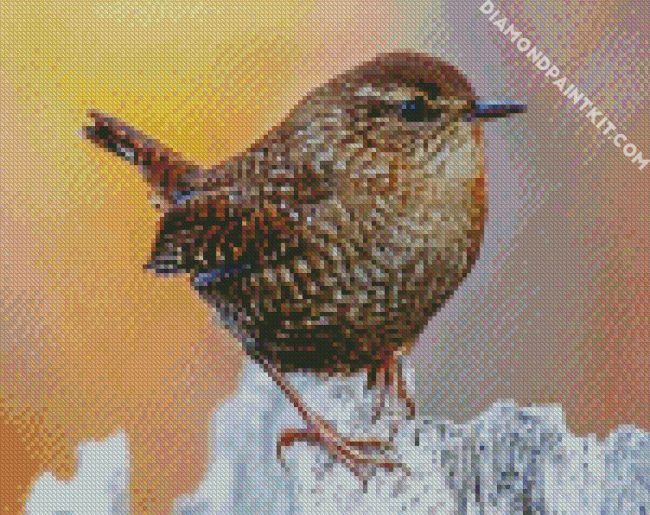 The Wren Bird diamond painting