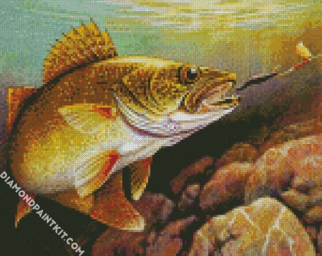 Walleye Fish diamond painting