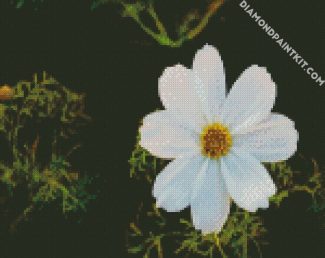 White Cosmos Flower diamond painting