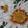 White Gazania diamond painting