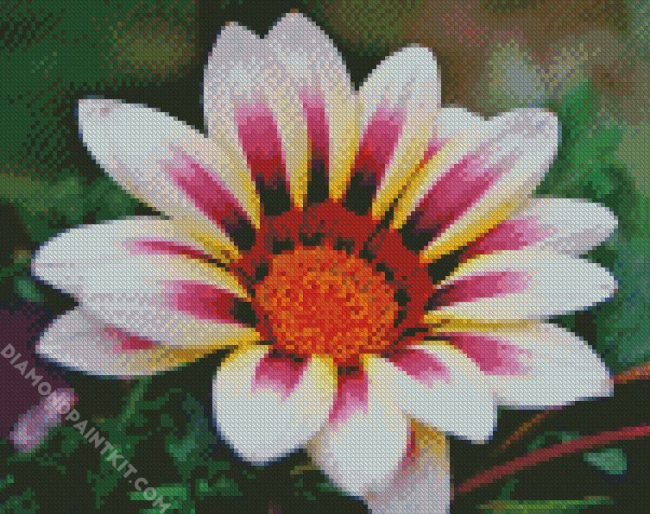 White Purple Gazania diamond painting