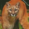 Wild Cougar diamond painting