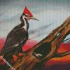 Woodpecker Bird diamond painting