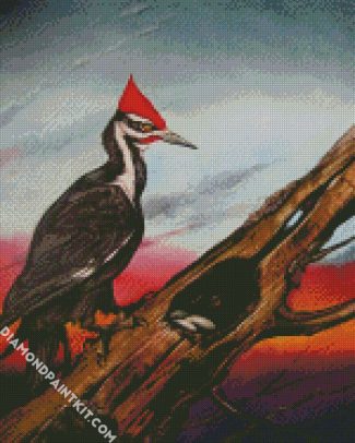 Woodpecker Bird diamond painting