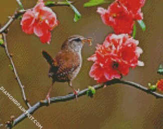 Wren On Flowers Branch diamond painting