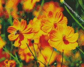 Yellow Cosmos Flowers diamond painting