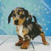 Chiweenie Puppy diamond painting