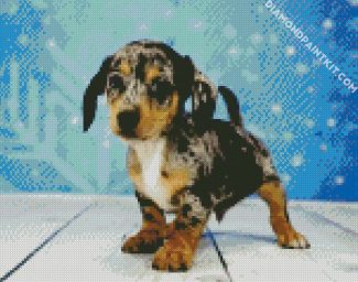 Chiweenie Puppy diamond painting