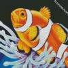 Clownfish diamond painting