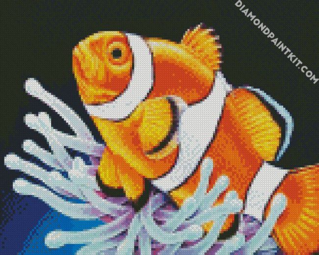 Clownfish diamond painting