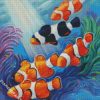 Clownfish Family diamond painting