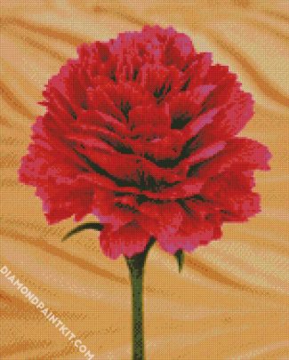 Fuschia Pink Carnation diamond painting