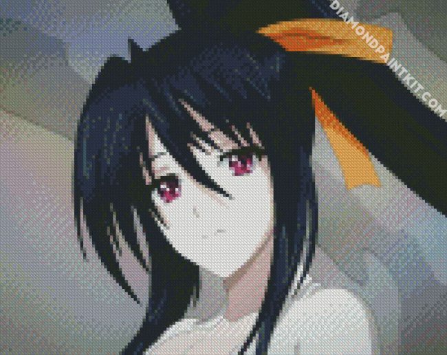 High School Dxd Akeno diamond painting