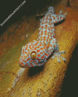 Tokay Gecko Lizard Reptile diamond painting