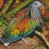 Tropical Pigeon Dove diamond painting