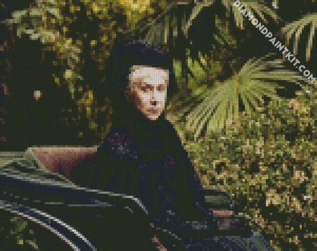 Winchester Helen Mirren diamond painting