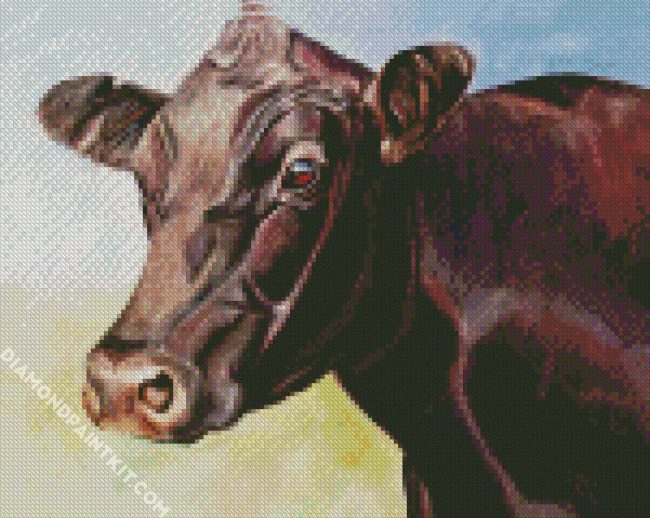 Aberdeen Angus Cattle diamond painting