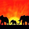 African Sunset Elephants diamond painting