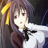 Akeno Anime Girl diamond painting