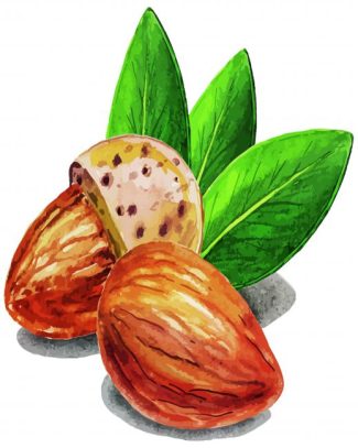 Almond diamond painting