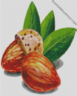 Almond diamond painting