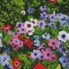 Anemones Flowers diamond painting