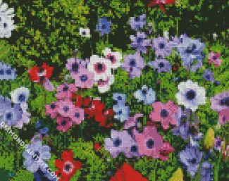 Anemones Flowers diamond painting