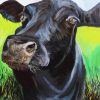 Angus Cattle diamond painting