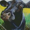 Angus Cattle diamond painting