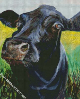 Angus Cattle diamond painting