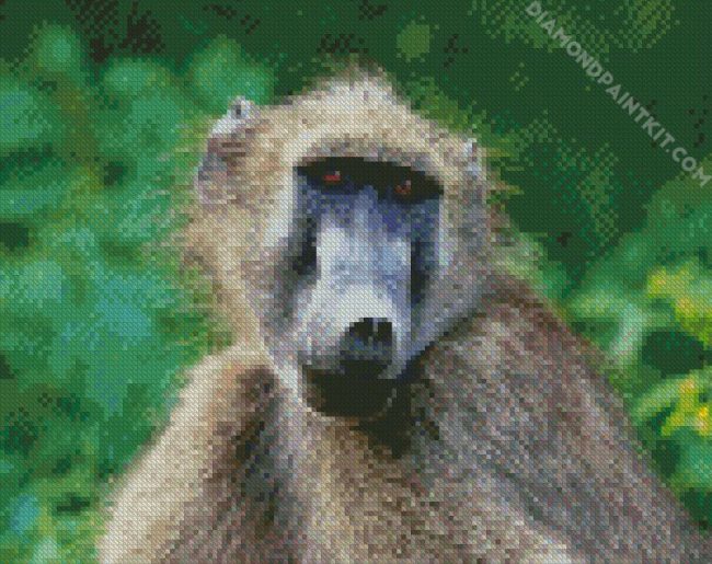 Animal Baboon Monkey diamond painting