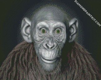 Ape With Green Eyes diamond painting