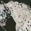 Appaloosa Horse Head diamond painting