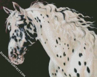 Appaloosa Horse Head diamond painting