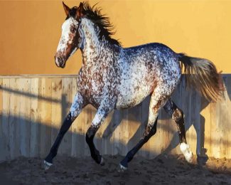 Appaloosa Horse diamond painting